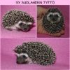 Abigelin_tyttö_11_kotisivu.jpg