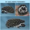 Fernando_3vk.jpg