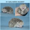 Halbert_3,5vk.jpg
