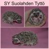 Madamen_pintotyttö_kotisivu.jpg