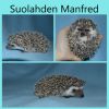 Manfred_muoks.jpg
